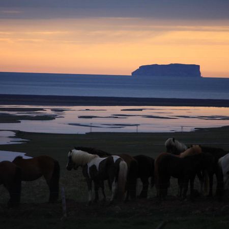 Hofsstadir Farmhouse Hofstaðir Buitenkant foto