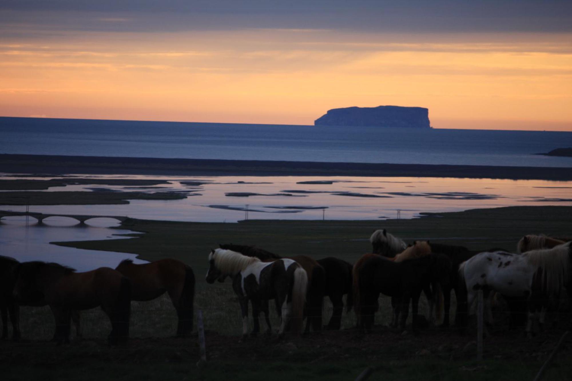 Hofsstadir Farmhouse Hofstaðir Buitenkant foto